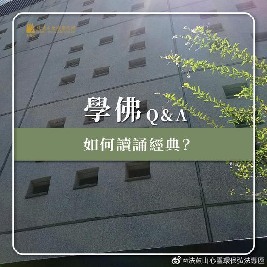 学佛应该如何读诵经典?(图片来源:法鼓山)