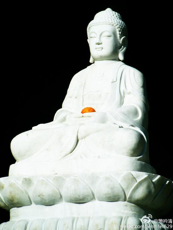 假使百千劫,所作业不亡,因缘会遇时,果报还自受。(摄影:@箫吟清)