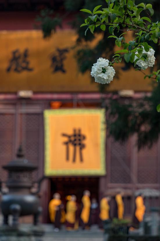 学禅若终生不悟怎么办?(摄影:惜缘法师)