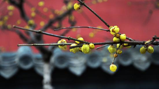 念死,是让我们学会理智地去面对;念死,更应该知道珍惜自己的当下。