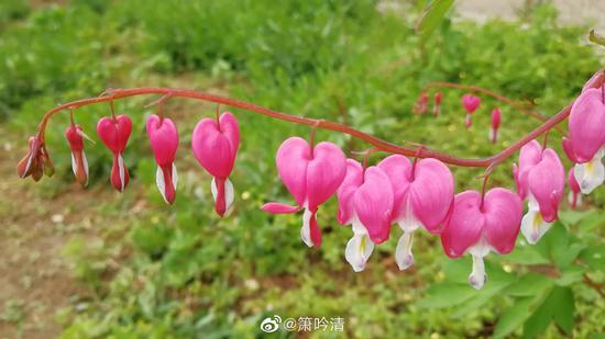 五蕴又称五阴。《大乘广五蕴论》说:‘蕴者,积聚义。’(摄影:@箫吟清)