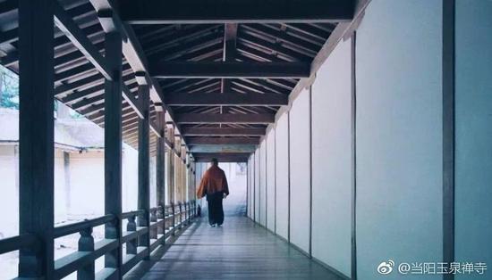 道伟大和尚:如实观照