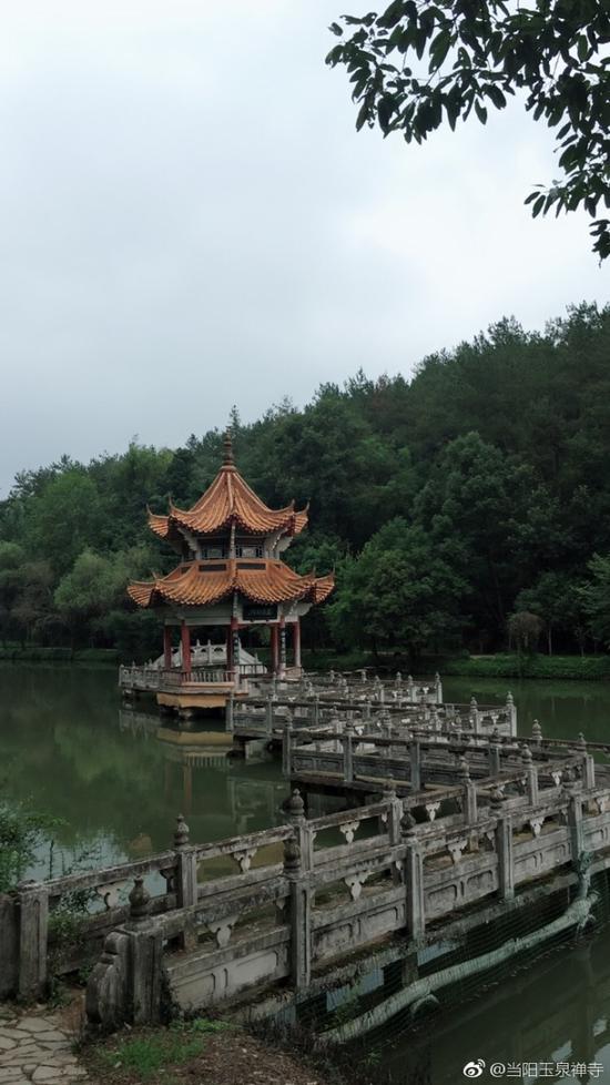 道伟法师:生命的现象