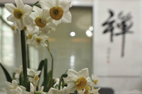 星云大师:虚荣与务实