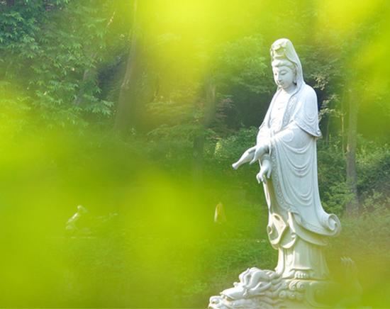 衡量菩萨的真正标准是什么?听听这几位大菩萨告诉你“什么是菩萨”(资料图)