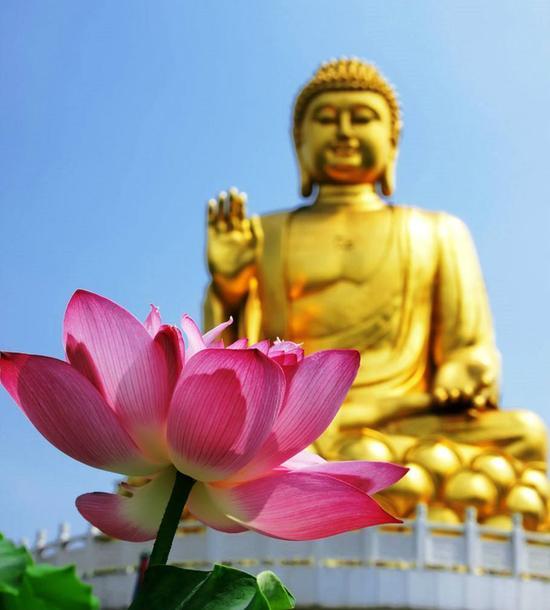 拜佛是求开悟,求智慧,求当下这一念,能转这个境界,唯心所造,这样子如如不动、清清静静、无处不自在。