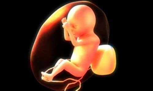 1张图告诉你，怀孕2到16周胎儿的整个发育过程，让人泪目