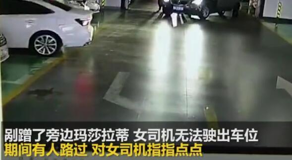 “火出天际”的杭州女司机找到了 5辆车总维修费用10万元？