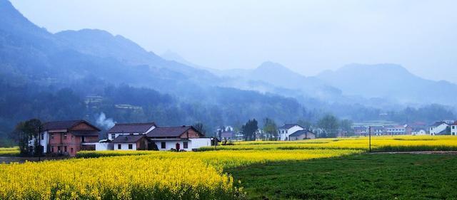 中国最美油菜花赏花地图