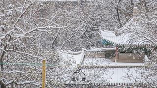 兰州五泉山的雪，中国传统建筑配上雪景
