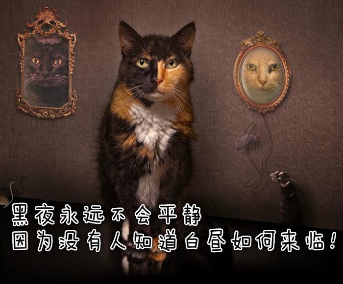 徐志摩：得之，我幸；失之，我命