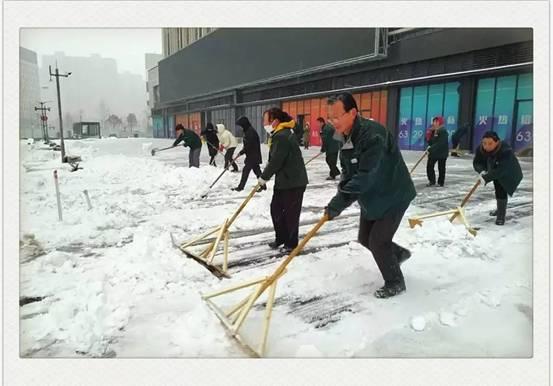 碧源月湖 有这样一群人，在寒雪中默默守护着你