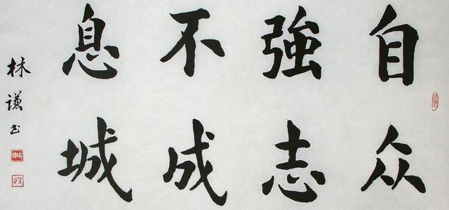 楷书书法作品欣赏：文人书法的魅力与特点