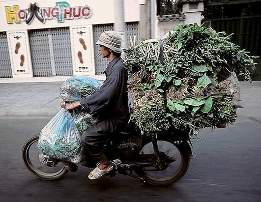 越南的生活成本大概有多高？吃，住，行都很便宜！