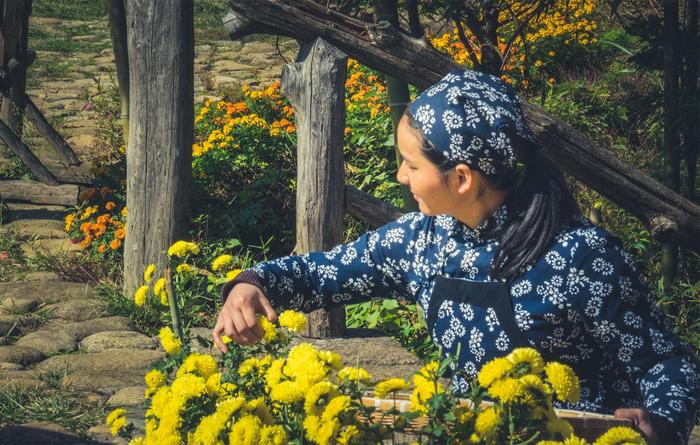 十一去婺源篁岭，送你一份赏秋的地图