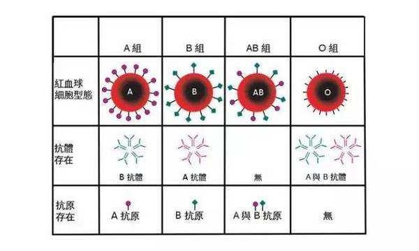 全国哪种血型的人最多？和你一样血型有多少人？血型与性格有关吗