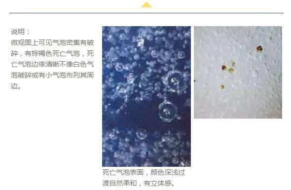 探访康熙年间流行哪些精美瓷器？