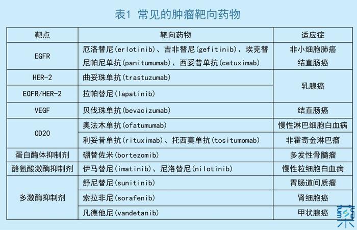 靶向药物——肿瘤治疗的又一次飞跃