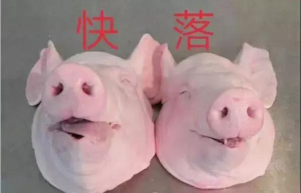 你在什么“奇怪”的地方工作过？