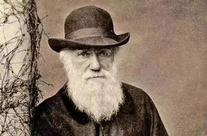 达尔文的“进化论”，为何不适用于人类社会？