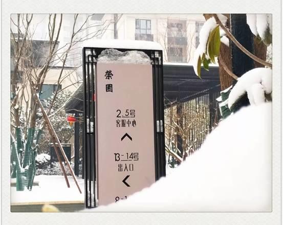 碧源月湖 有这样一群人，在寒雪中默默守护着你