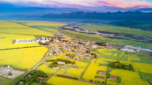 中国最美油菜花赏花地图