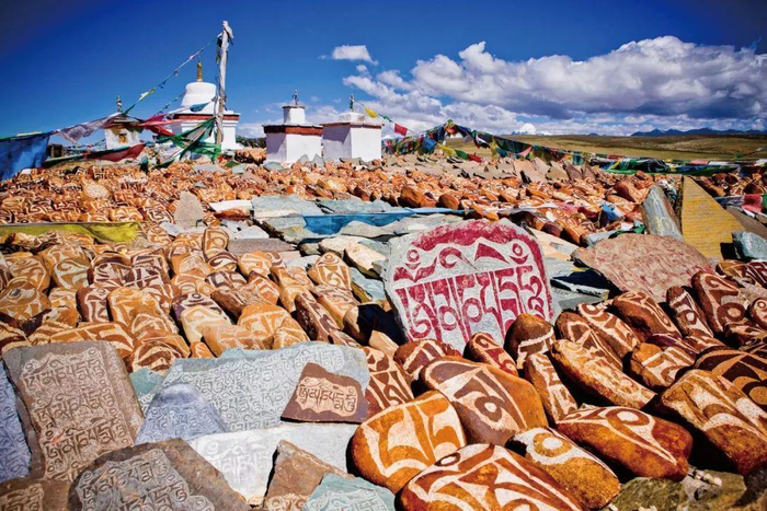 深度解析明尼苏达森林狼高清比赛录像展现战术演变与球员成长