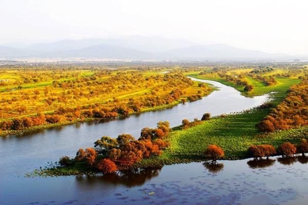 风景迥异千鸟湖湿地！一县一品公益助农，黑龙江饶河特产大米