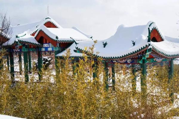 你敢大冬天来威海吗?我先要告诉你…!|海草房|渔家|滑雪|旅游|避暑_新浪新闻