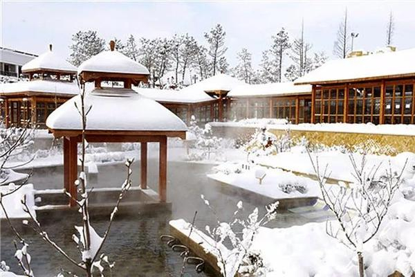 你敢大冬天来威海吗?我先要告诉你…!|海草房|渔家|滑雪|旅游|避暑_新浪新闻
