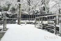 中东部大范围雨雪阻春运 未来10天江南阴雨难歇