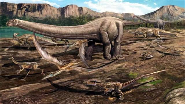 已知的世界上最大的陆地生物巴塔哥泰坦巨龙，比霸王龙大数倍