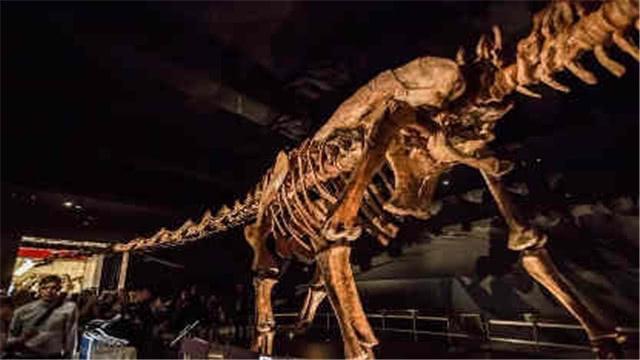 已知的世界上最大的陆地生物巴塔哥泰坦巨龙，比霸王龙大数倍
