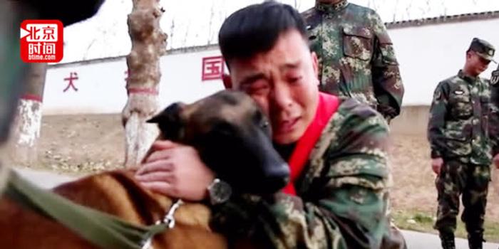 退伍老兵在墓碑前泪别逝去军犬 离别时被现役军犬狂追不舍