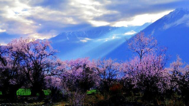 去林芝看桃花需要边防证吗？