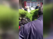 视频：杨洁导演追悼会 小女儿现身