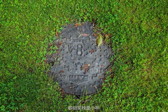 因此巴塞尔被称为中欧“天气最好”的城市,统计也表明巴塞尔的日照比提切诺更多。