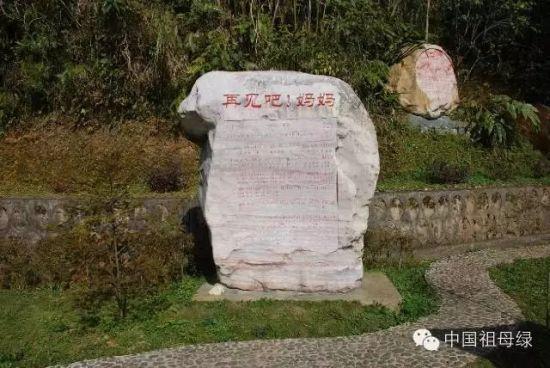 《再见吧妈妈》 《再见吧妈妈》