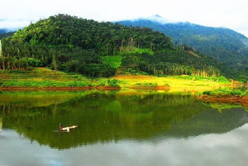 西双版纳美景 西双版纳美景(图:望天树景区提供)