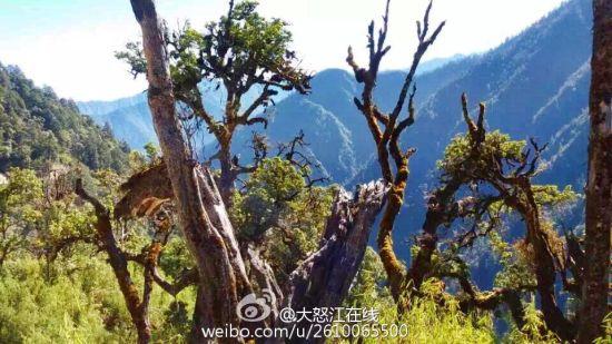 怒江美丽风光 怒江美丽风光