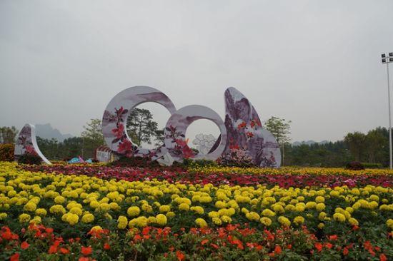 大明山的春花 图:冯保翠 大明山的春花 图:冯保翠