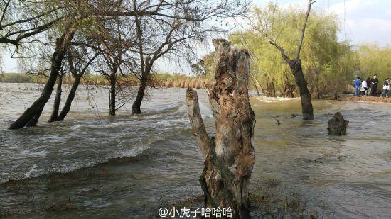 昆明滇池湖畔 昆明滇池湖畔