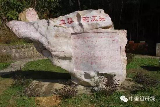 《血染的风采》 《血染的风采》
