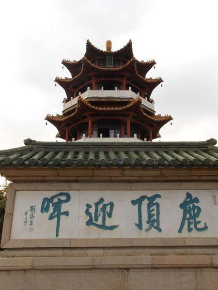 鹿顶迎晖 鹿顶迎晖