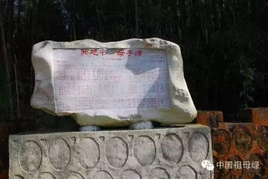 《两地书 母子情》 《两地书 母子情》