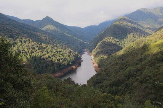 黄连山国家级自然保护区 黄连山国家级自然保护区