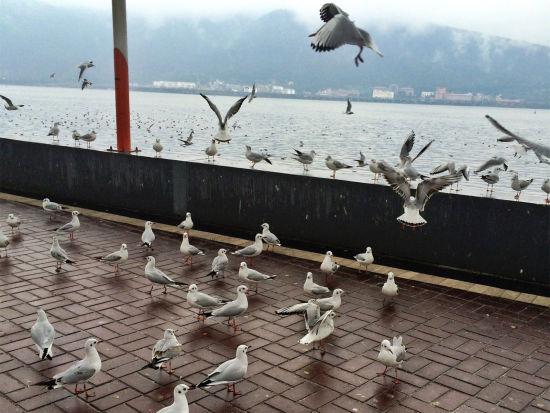 海埂大坝 海埂大坝
