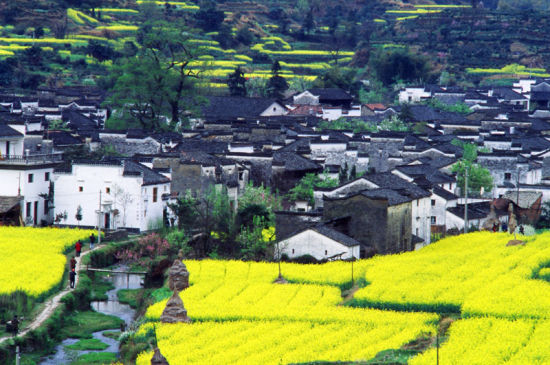 静谧如画的乡村 静谧如画的乡村