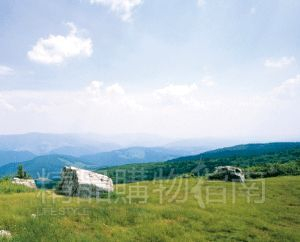 满眼充斥着大片的翠绿和湛蓝 满眼充斥着大片的翠绿和湛蓝