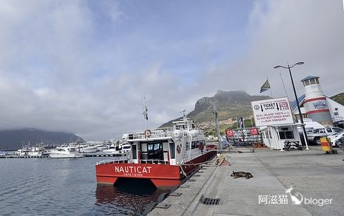 豪特湾 豪特湾
